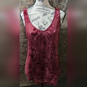 Elegant Velvet dress